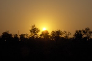 Morning walk-Kruger sunrise