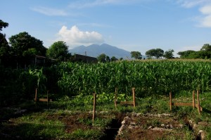 Casa with a view: foundation in the foreground