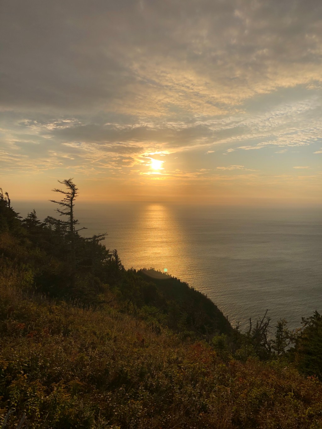 Road trip to the briny coast